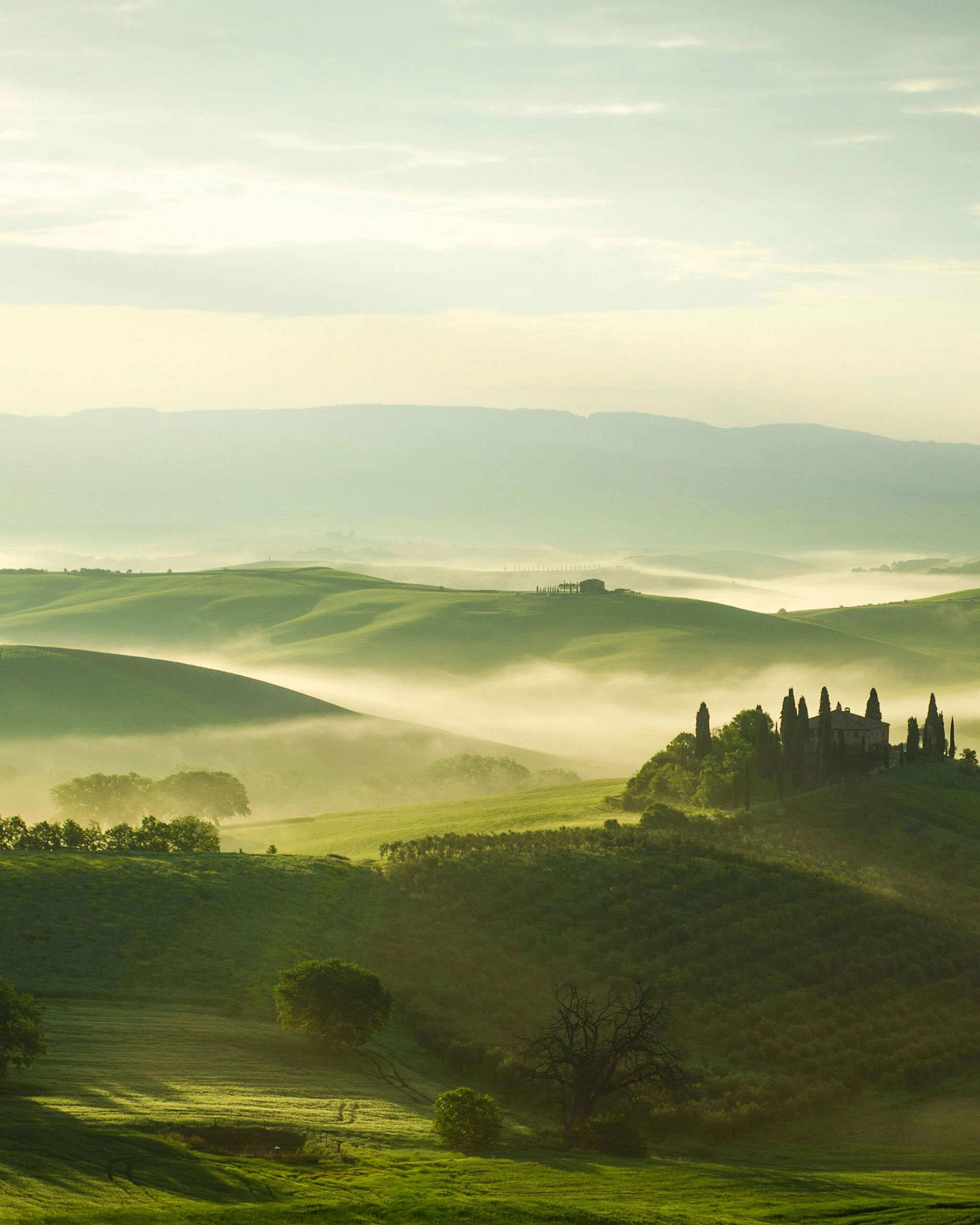 Crafting With Conscience