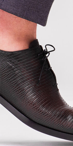 Same shoe