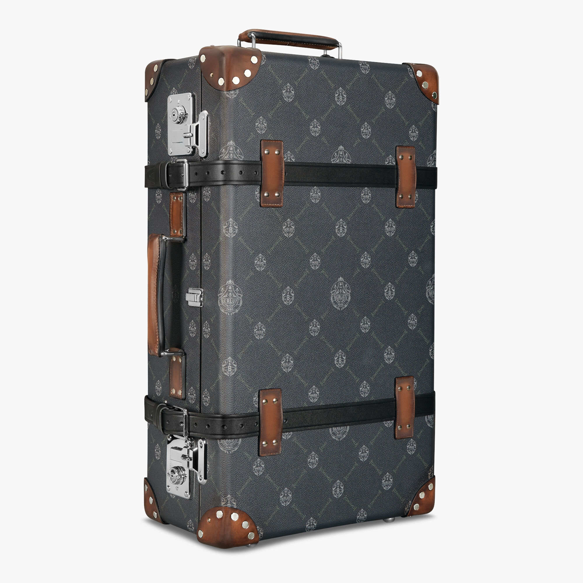 globe luggage