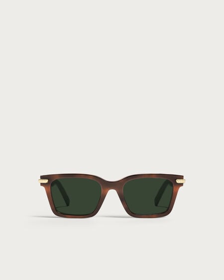 Cacao & Green