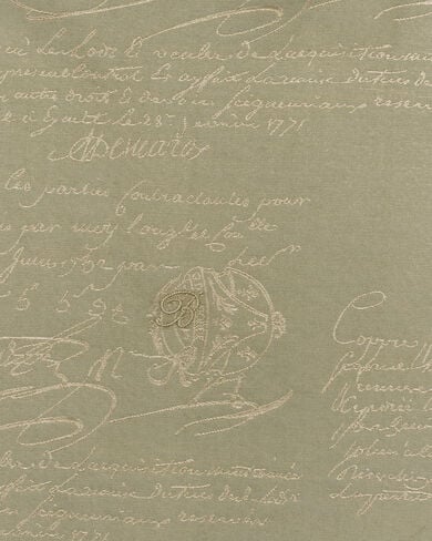 Andy Scritto图纹衬衫, Salvia, hi-res