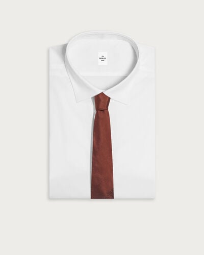 グラディアント スクリットパターン タイ, Chestnut Brown, hi-res